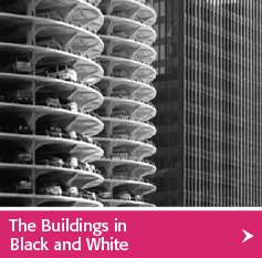 The Buildings of Chicago in Black and White